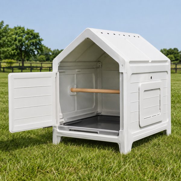 SnapLock Formex Standard Chicken Coop